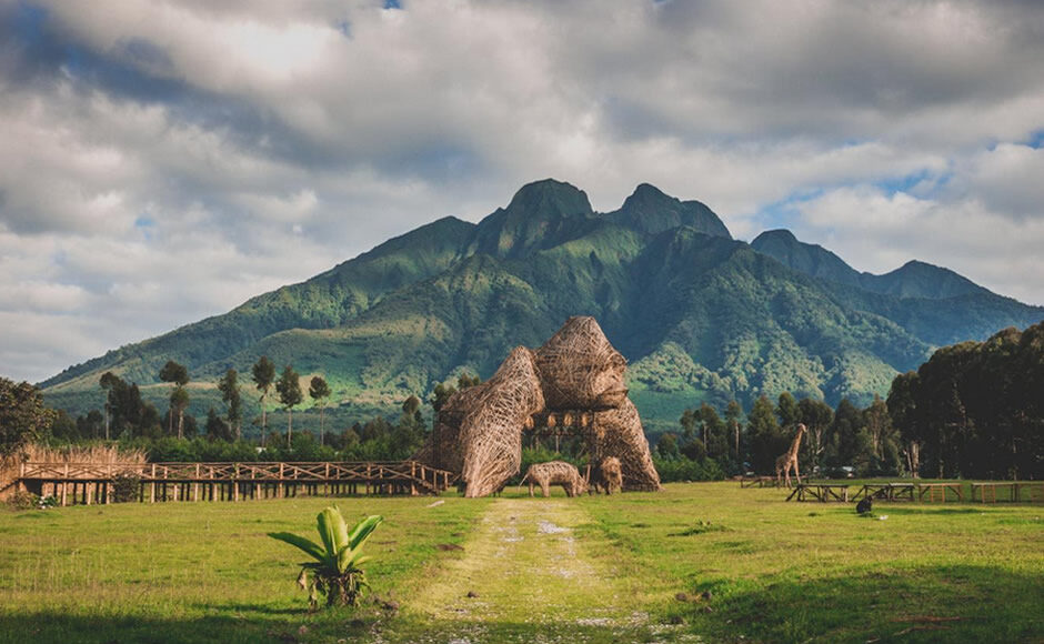 Volcanoes National Park Rwanda