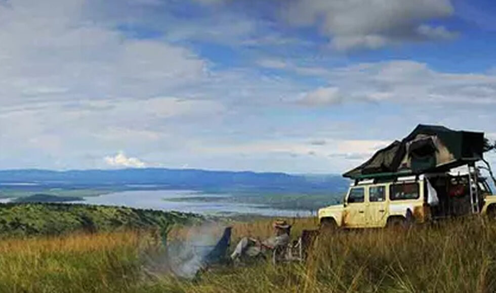 Travel Like a Local