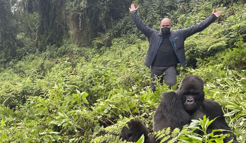 Perfect Rwanda Gorilla Trek