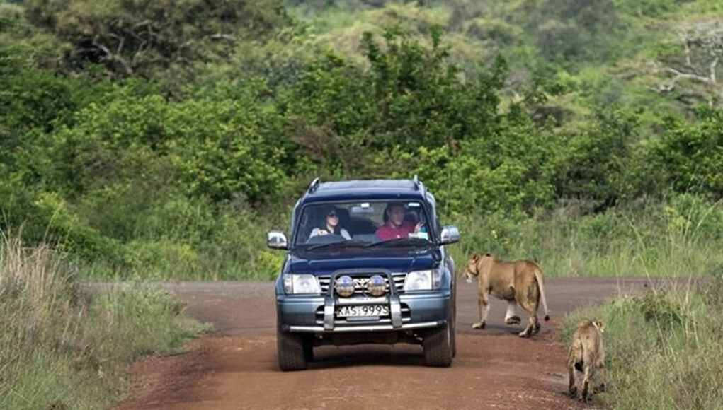 Self Drive in Kenya